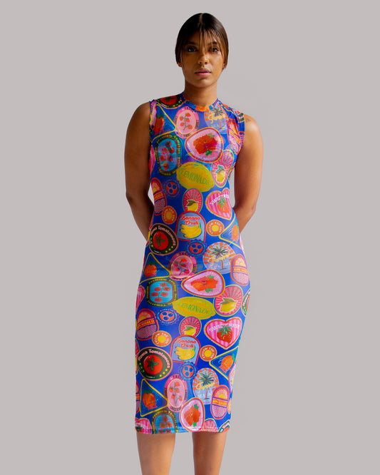 Costa Blue Midi Mesh dress